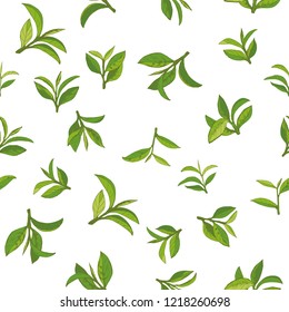 seamless pattern with green tea, hand-drawn leaves and branches of tea