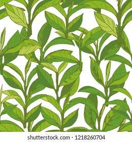 seamless pattern with green tea, hand-drawn leaves and branches of tea