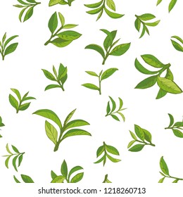 seamless pattern with green tea, hand-drawn leaves and branches of tea