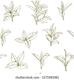 seamless pattern with green tea, hand-drawn leaves and branches of tea