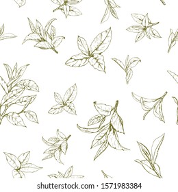 seamless pattern with green tea, hand-drawn leaves and branches of tea