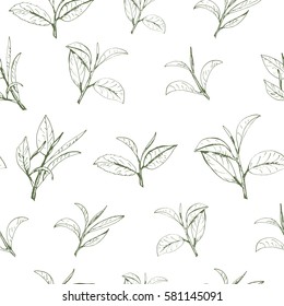seamless pattern green tea, hand-drawn leaves and branches of tea
