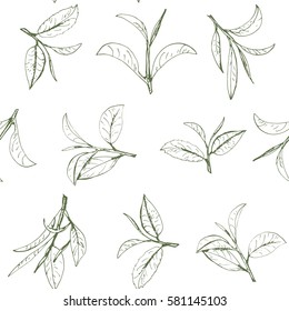 seamless pattern green tea, hand-drawn leaves and branches of tea