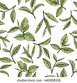 seamless pattern with green tea, hand-drawn leaves and branches of tea