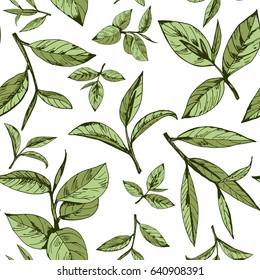 seamless pattern with green tea, hand-drawn leaves and branches of tea