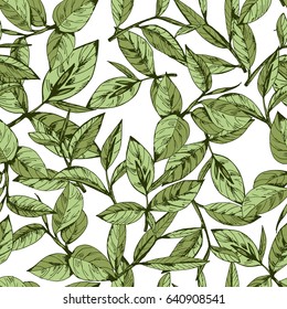 seamless pattern with green tea, hand-drawn leaves and branches of tea