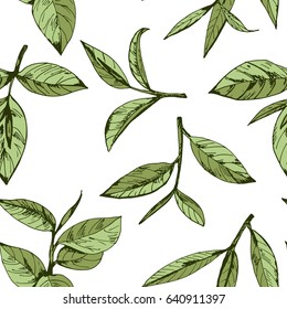 seamless pattern with green tea, hand-drawn leaves and branches of tea