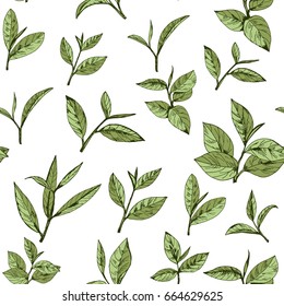 seamless pattern green tea, hand-drawn leaves and branches of tea