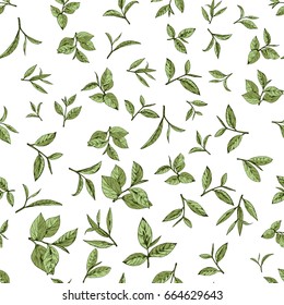 seamless pattern green tea, hand-drawn leaves and branches of tea