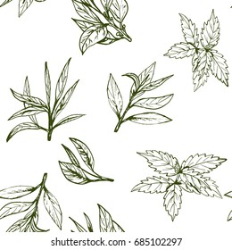 seamless pattern green tea, hand-drawn leaves and branches of tea