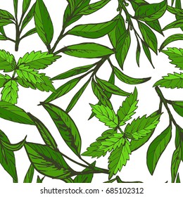 seamless pattern green tea, hand-drawn leaves and branches of tea