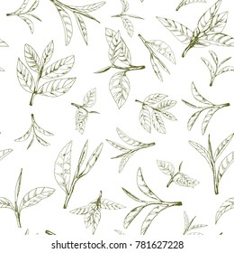 seamless pattern with green tea, hand-drawn leaves and branches of tea