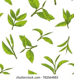 seamless pattern with green tea, hand-drawn leaves and branches of tea