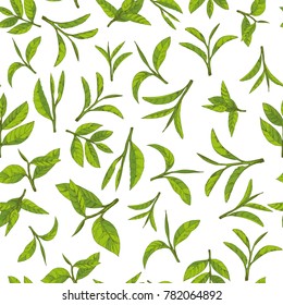 seamless pattern with green tea, hand-drawn leaves and branches of tea