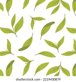 Patrón sin foco con hojas de té verdes. Ilustración vectorial. Patrón con té verde matcha. Vector de stock