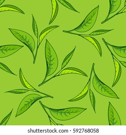 Seamless pattern with green tea leaves on green background. Hand painting on paper. May used in fabric, wrapping paper. Vector illustration