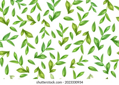 Seamless pattern of green tea or mint leaves on a white background.Vector template.
