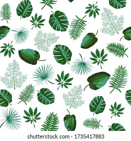 Patrón sin foco con hojas exóticas tropicales verdes sobre fondo blanco. Ilustración vectorial.
