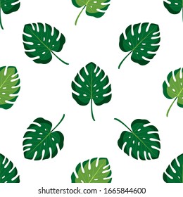 Seamless pattern with green tropical leaves. Vector illustration of summer. Exotic wallpaper with monstera leaves on white background. For web design, scrapbooking, printing on fabric, wrapping.