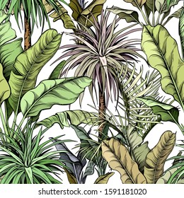 Seamless pattern with green tropical trees. Yucca plants and large banana leaves. Hand drawn vector illustration.