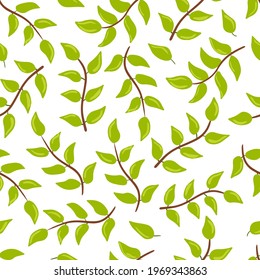 Seamless pattern with green twigs and leaves. White background. Vector illustration hand drawn botanical