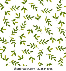 Seamless pattern with green twigs on white background. Vector illustration