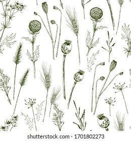 Seamless pattern with green wild herbs, wheat spikelets and poppy seed boxes. Hand drawn vector illustration on white background.