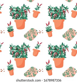 Seamless pattern with greenery and chili pepper pots for urban or balcony gardening theme. Endless background for your design.