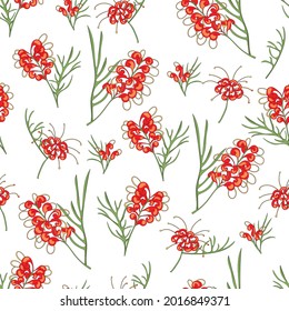 patrón ininterrumpido de grevillea australia ilustración nativa de flor sobre fondo blanco