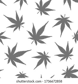 Seamless pattern of grey hemp on a white background. A sample of marijuana. Vector illustration.