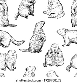 Seamless pattern of groundhogs, marmot sketches. Hand drawn vector illustration. Woodchuck black retro ornament. Design for fabric, textile, wallpaper, print, background, Groundhog Day decor, card.