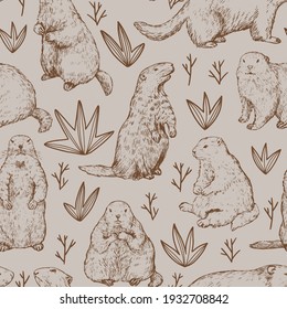 Seamless pattern of groundhogs, marmot sketches. Hand drawn vector illustration. Woodchuck colored retro ornament. Design for fabric, textile, wallpaper, print, background, Groundhog Day decor, card.