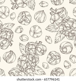 Seamless pattern with guarana. Superfood. Vector hand drawn illustration.