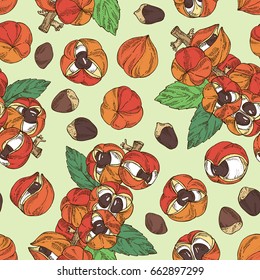 Seamless pattern with guarana. Superfood. Vector hand drawn illustration