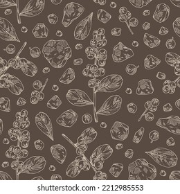 Patrón sin foco con ggul: planta de guggul, hojas, bayas y resina de ggul. Commiphora mukul. Cosmética, perfumería y planta médica. Ilustración dibujada a mano por el vector