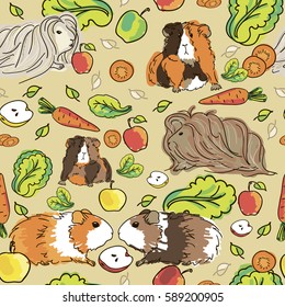 Seamless pattern with guinea pigs. Background with pets and food.