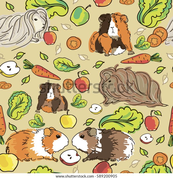 Seamless Pattern Guinea Pigs Background Pets Stock Vector (Royalty Free ...