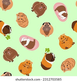 Seamless pattern with guinea pigs of different breeds. Rodent repeat pattern. Cartoon vector illustration. 