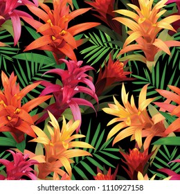 Seamless pattern of guzmania flower on black background. Vector set of blooming exotic tropical floral for wedding invitations, greeting card and fashion design.