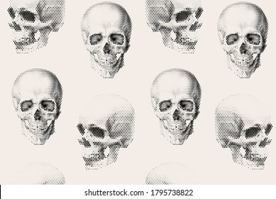 Seamless pattern with halftone human skull vector illustration. 