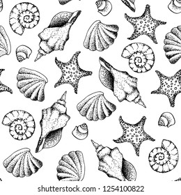 Seamless pattern. Hand draw in marine style. Vector illustration.