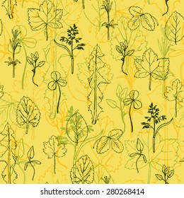 Seamless pattern with hand drawing herbs and leaves,   vector floral background