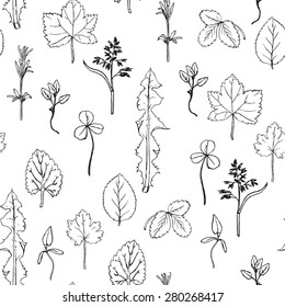 Seamless pattern with hand drawing herbs and leaves,  hand drawn vector floral background