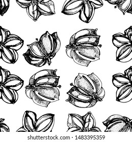 seamless pattern ,hand drawing ,Sacha Inchi seeds, vector