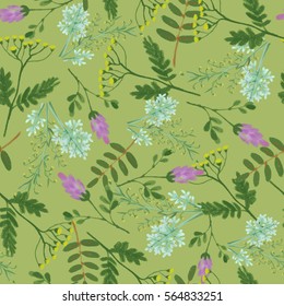 Seamless pattern with hand drawm wildflowers