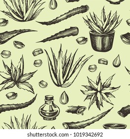 Seamless pattern with hand drawn aloe vera