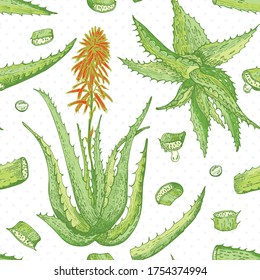 Seamless pattern with hand drawn Aloe vera lives and flower in green and red color isolated on white background. Retro vintage engraving graphic design Botanical sketch drawing, Vector illustration.