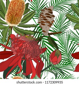 seamless pattern of hand drawn australia wild native flower banksia and waratah 