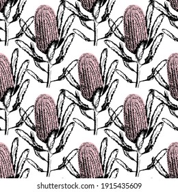 Seamless pattern of hand drawn Australia banksia flower. Wild flower seamless pattern on white background. Exotic print. Vintage motives. for cards, posters, postcard design, logo, for printed matter.