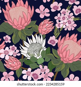 seamless pattern of hand drawn australia native flower king protea